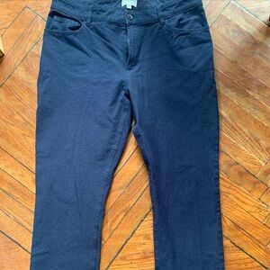 Jigsaw Jeans Women’s Size 10 Dark Wash Straight Leg High Rise Raw Hem